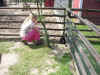 Imgp0758.jpg (474648 byte)