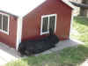 Imgp0760.jpg (230385 byte)