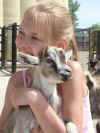 Imgp0765.jpg (199241 byte)