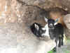 Imgp0768.jpg (271546 byte)