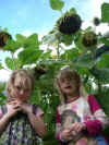 Imgp1499.jpg (243671 byte)