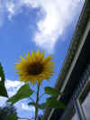 Imgp1504.jpg (147006 byte)