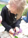 Imgp2410.jpg (210072 byte)